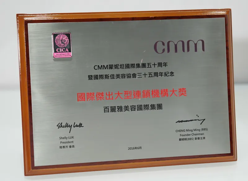 国际杰出大型连锁机构大奖牌匾