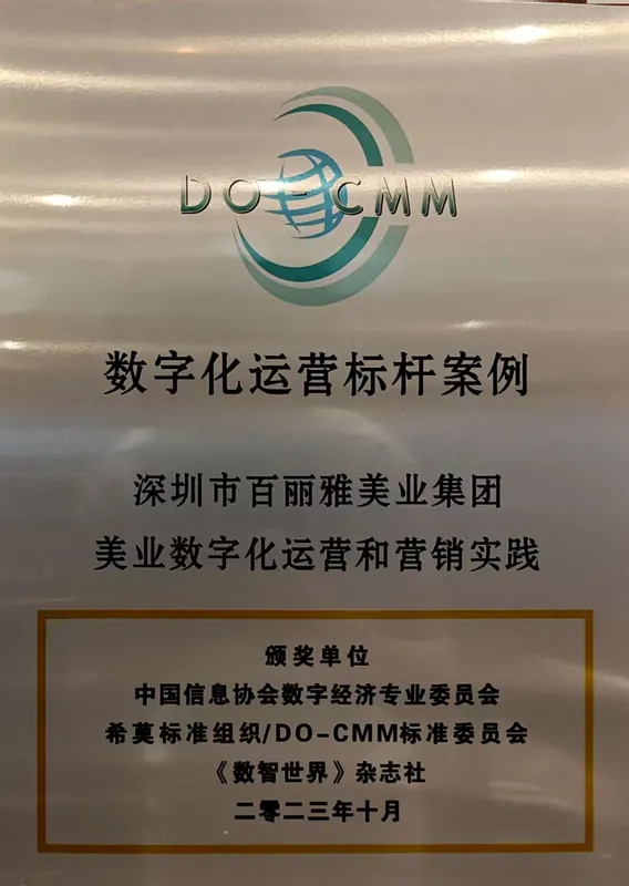 数字化运营标杆案例证书